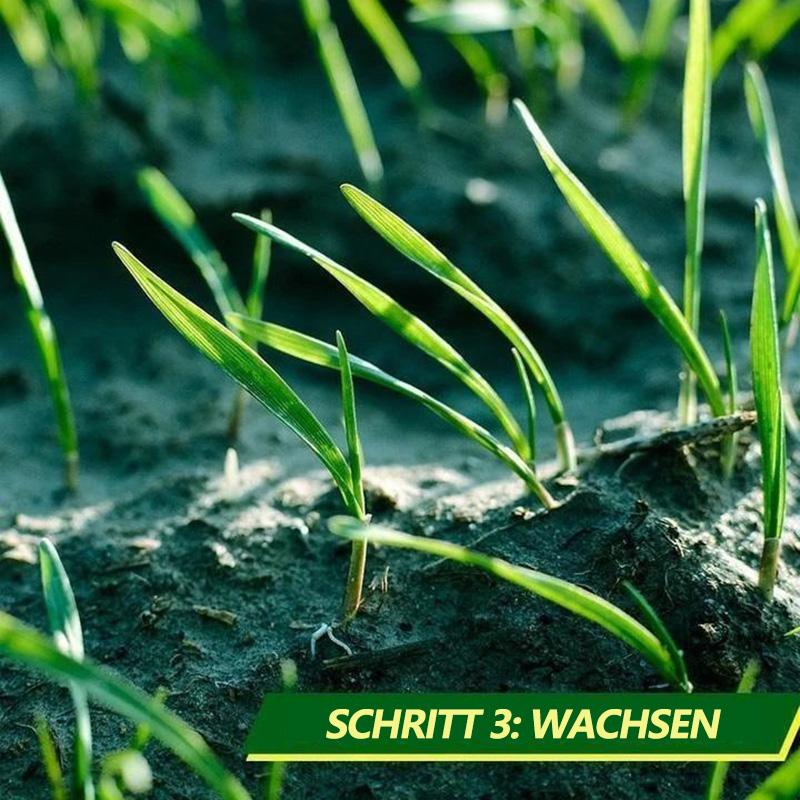 Biologisch abbaubare Grassamenmatte